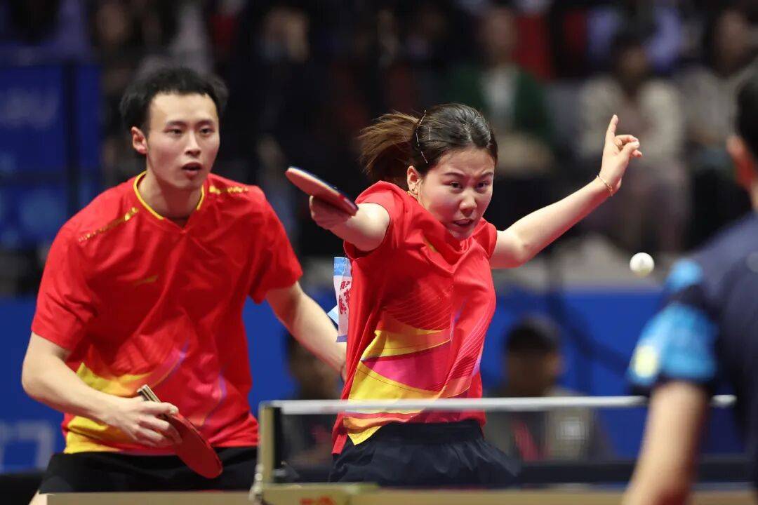 王楚钦半决赛遇樊振东，王曼昱将战陈梦，林高远/刘诗雯进混双决赛 | 全运会