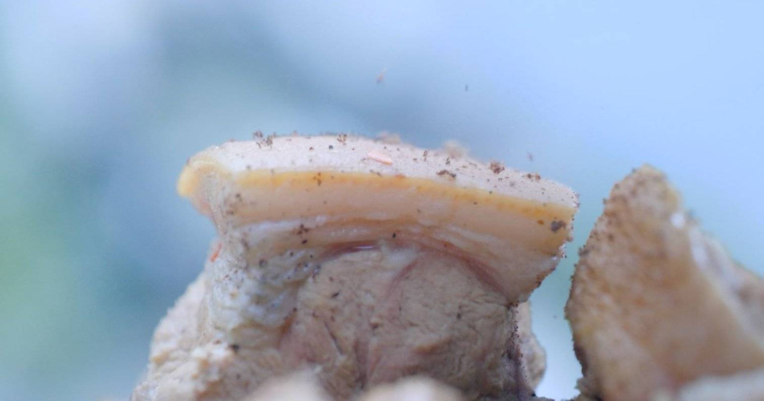 杀年猪、灌腊肠、跳达体舞……凉山彝族自治州欢度彝族新年