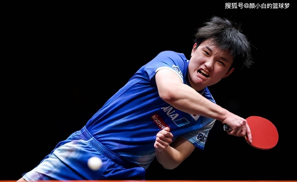 再度倒在决胜局！林诗栋0-2落后拖入抢七惜败 张本智和再致敬樊振东