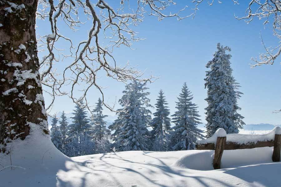 开云平台-電(diàn)竞比赛吸(xī)引全球年轻观众