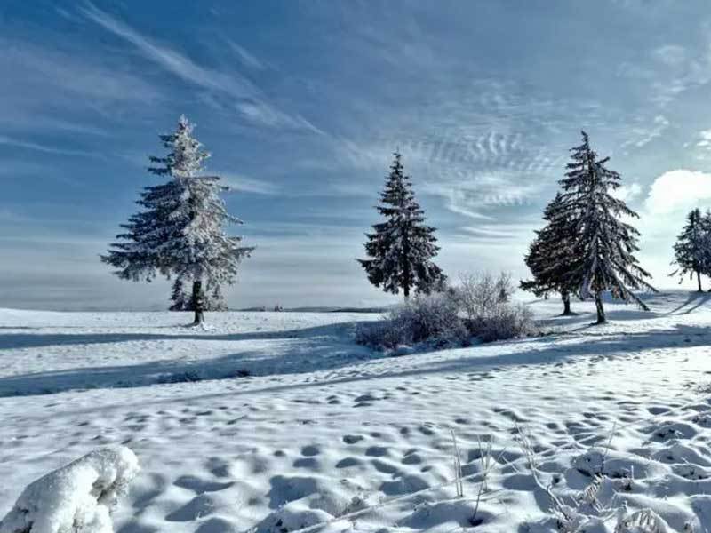 开云体育APP下载-英雄联盟全球总决赛冠亚军决赛四川打响