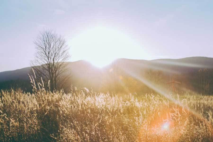 中国电竞队在亚运会摘得四金